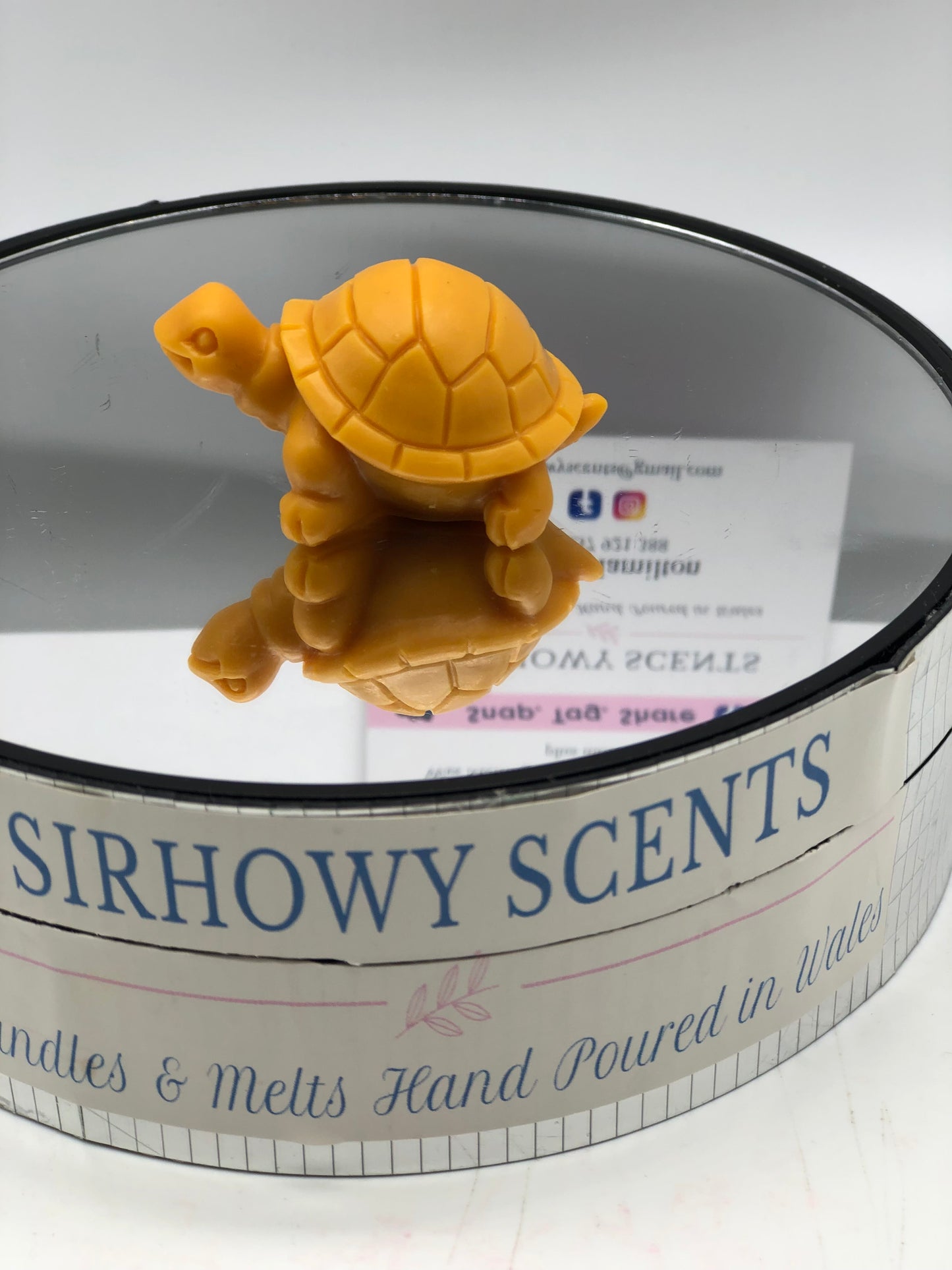 Ems Tortoise Family of x 5 Wax Melts