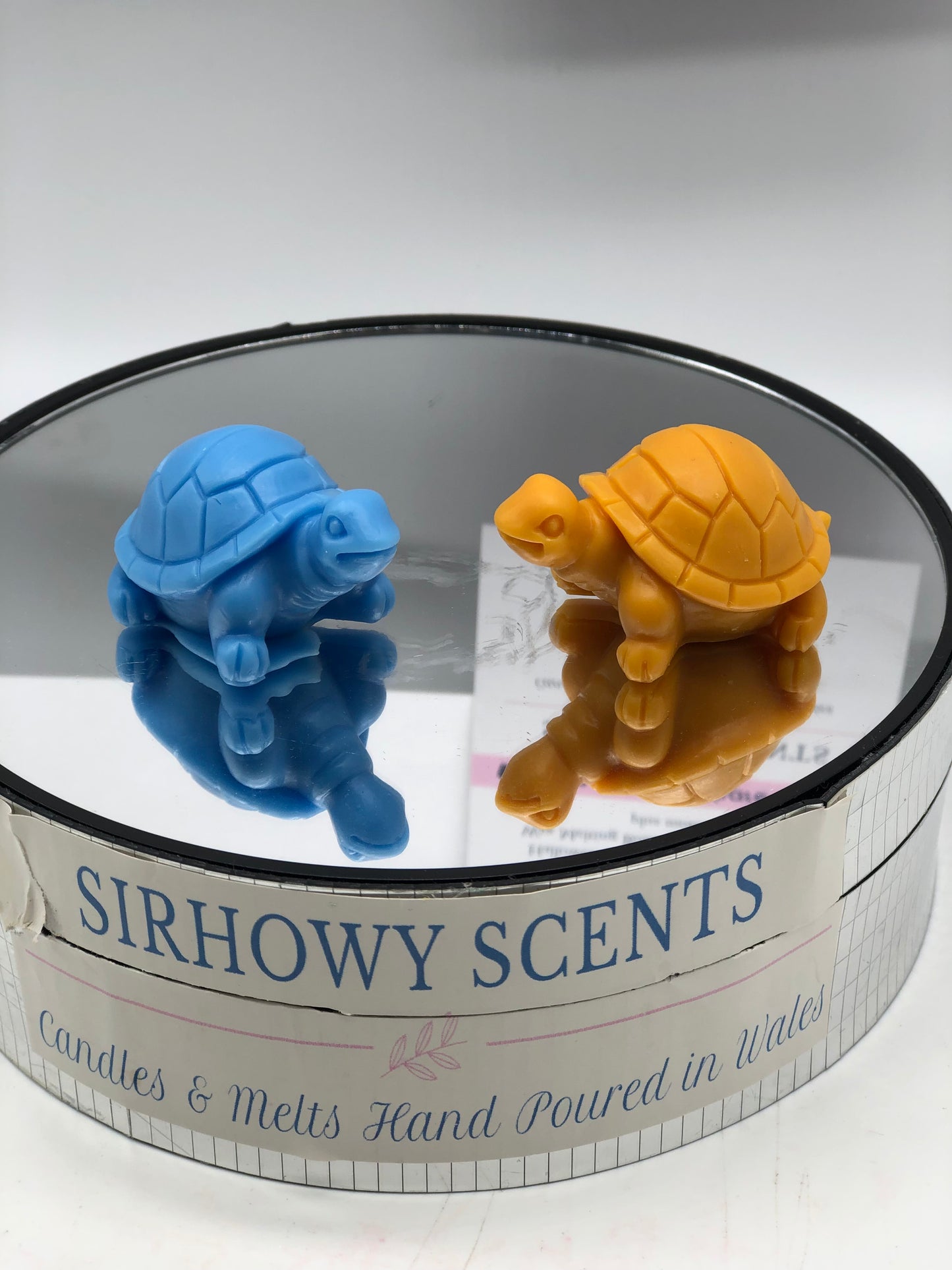 Ems Tortoise Family of x 5 Wax Melts