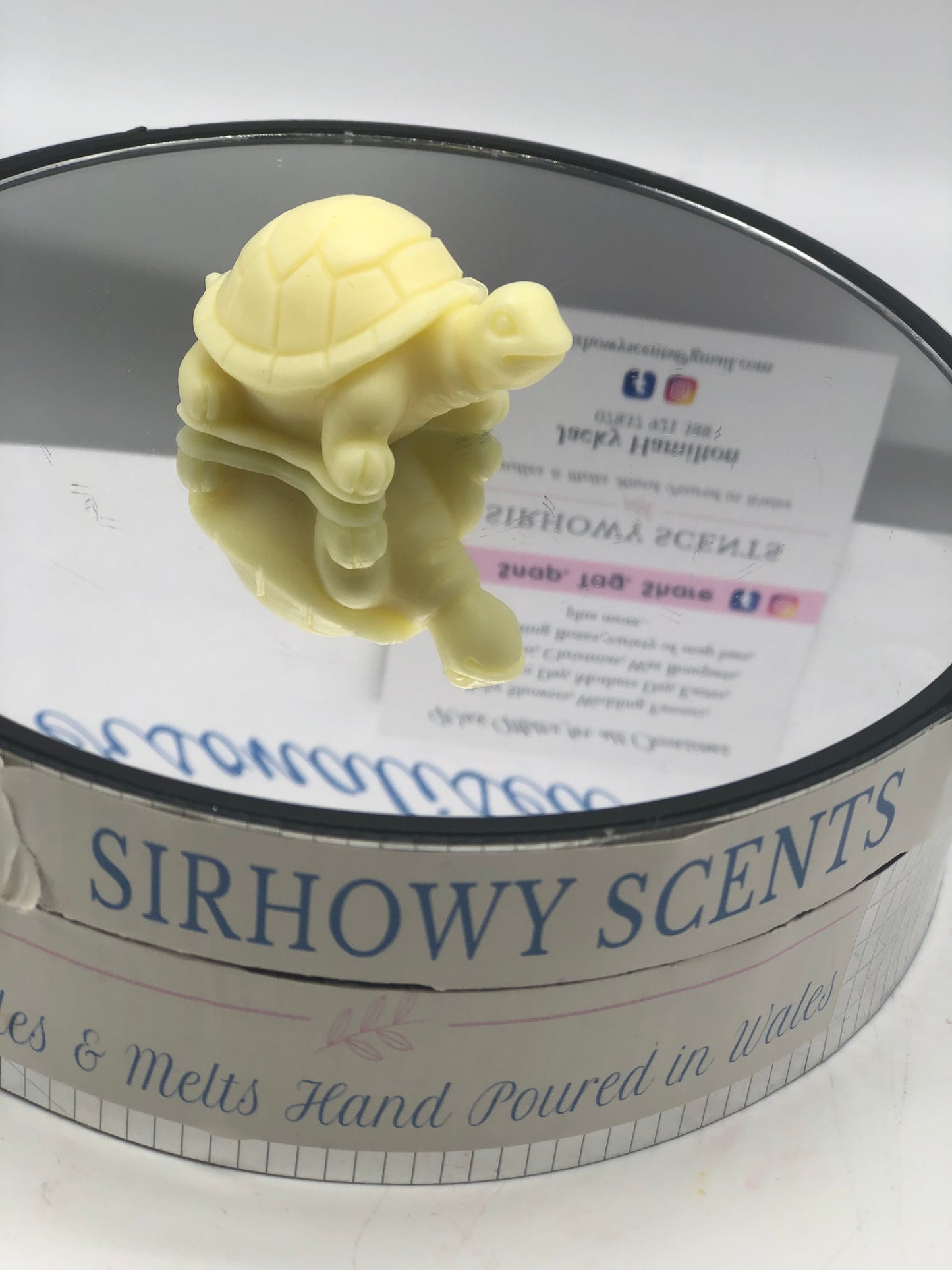 Ems Tortoise Family of x 5 Wax Melts