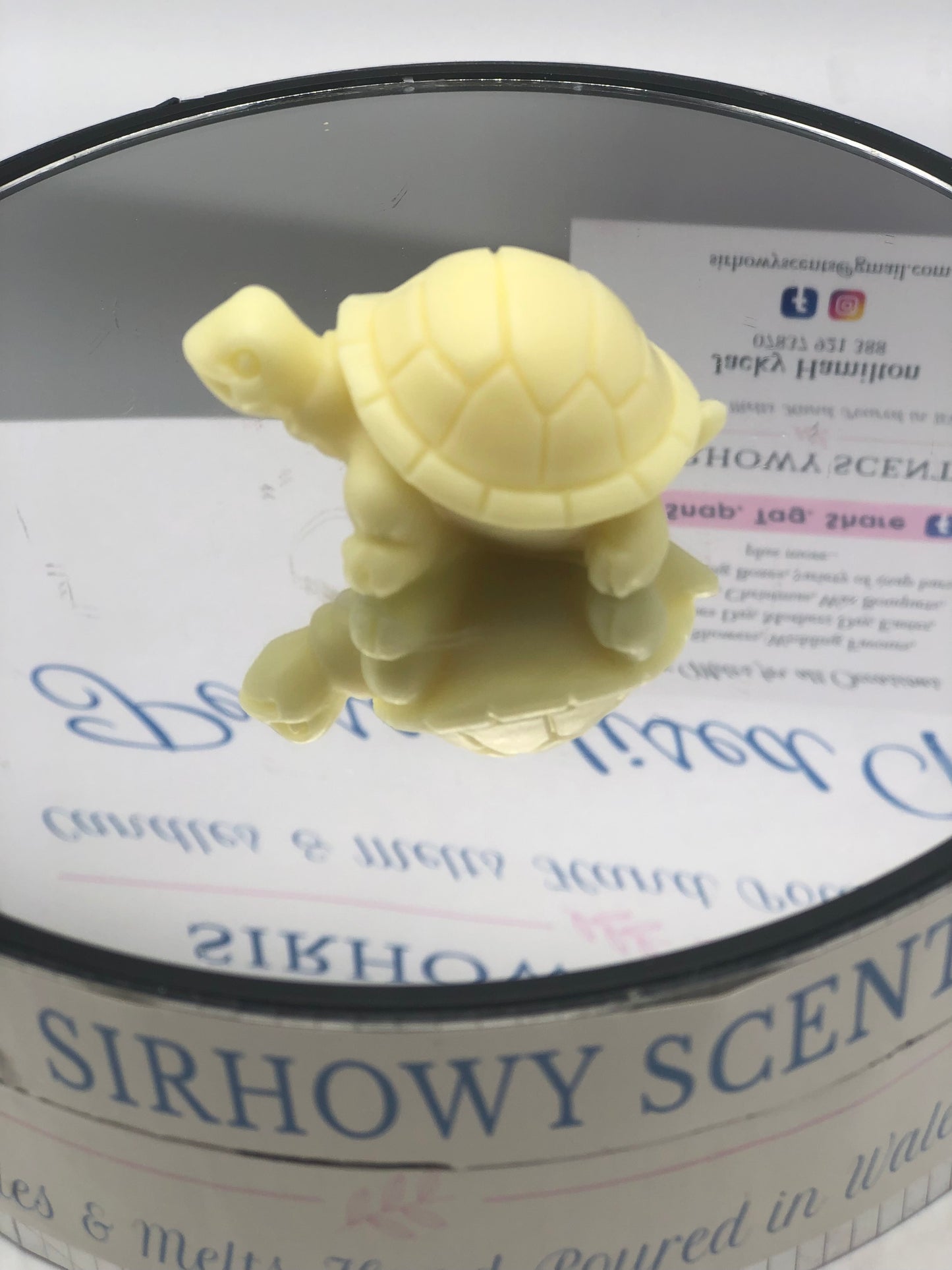 Ems Tortoise Family of x 5 Wax Melts