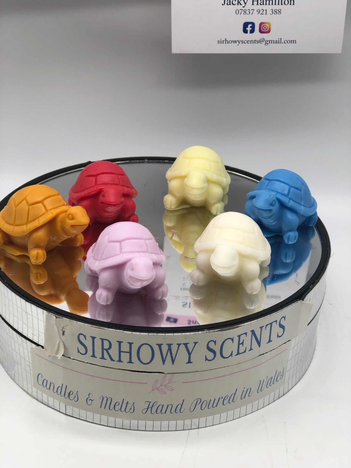 Ems Tortoise Family of x 5 Wax Melts