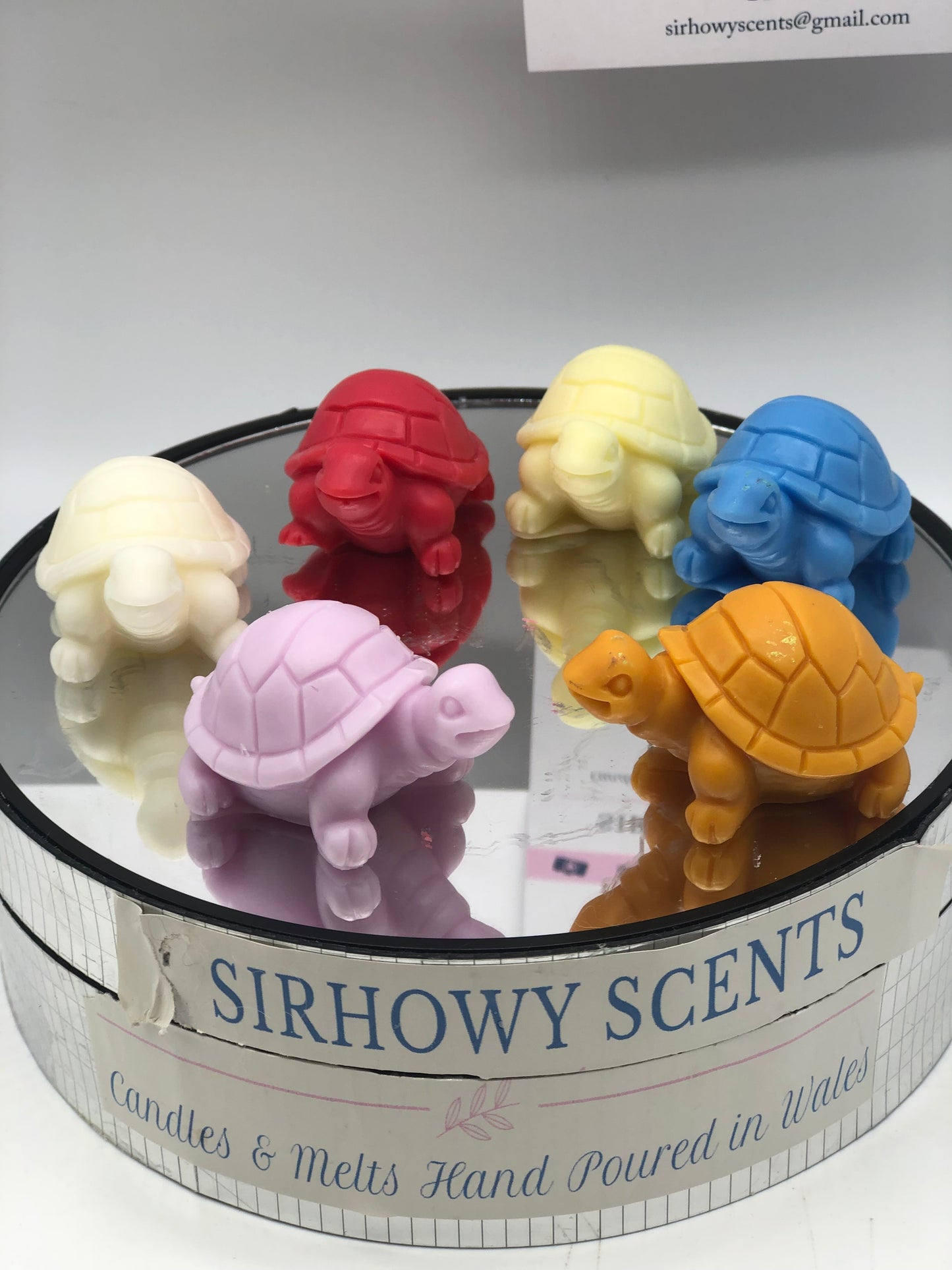 Ems Tortoise Family of x 5 Wax Melts