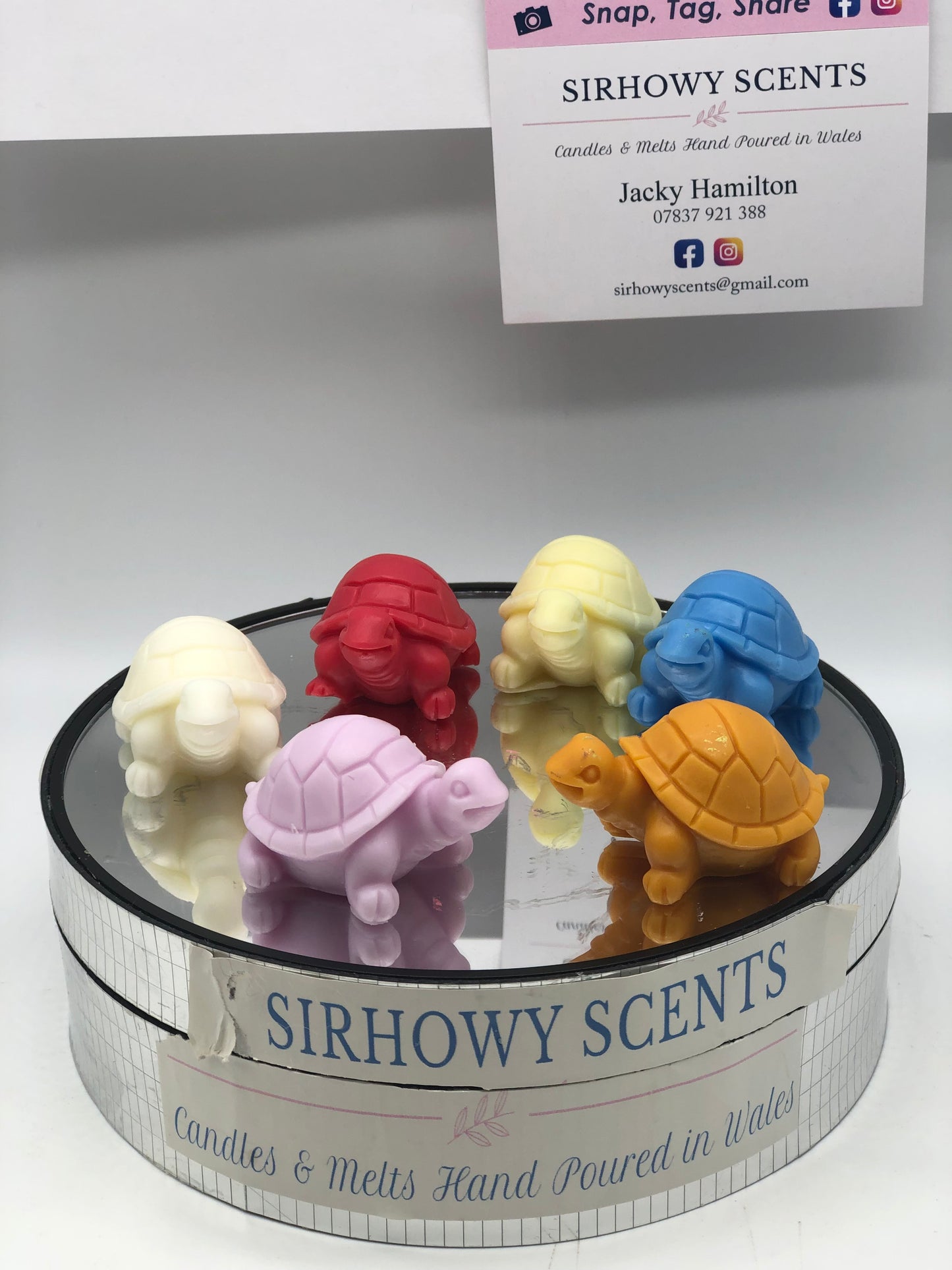 Ems Tortoise Family of x 5 Wax Melts