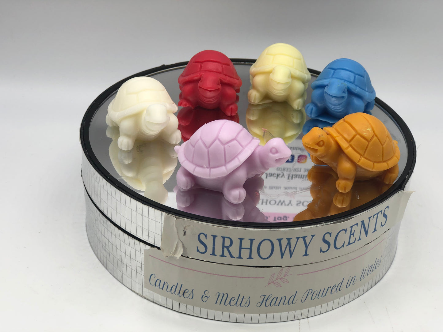 Ems Tortoise Family of x 5 Wax Melts