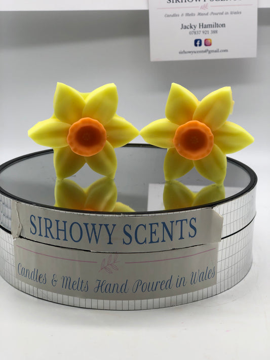 Daffodils Wax Melts